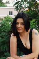 Reva DN Hot Photos